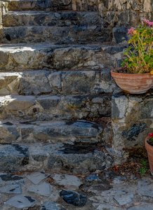 The Stone Cedar