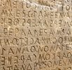 The Stone Cedar