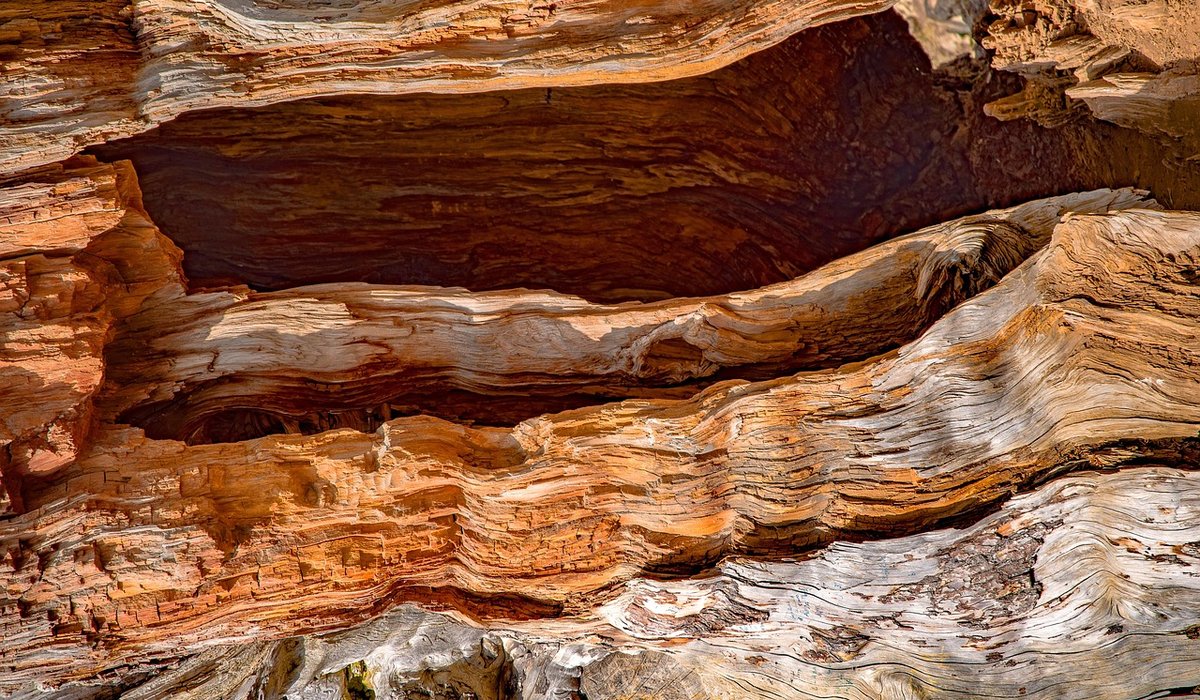 The Stone Cedar